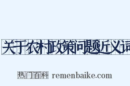 关于农村政策问题近义词是什么意思的图片